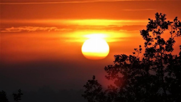 Casa do Jardim image 10