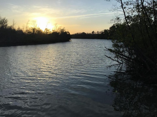 Casa do Jardim image 15