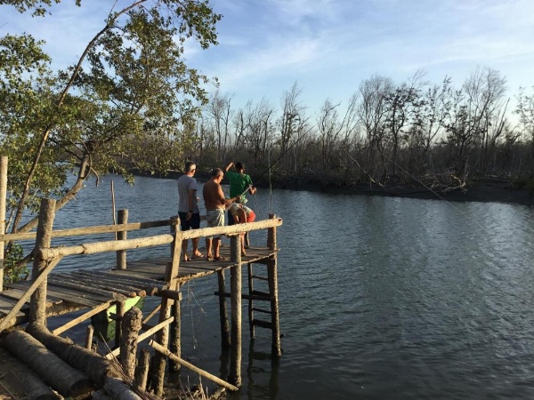 Casa do Jardim image 17